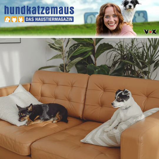 Bekannt aus „hundkatzemaus“.