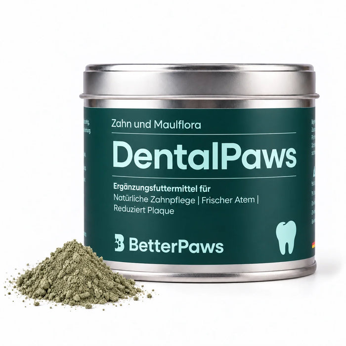 DentalPaws
