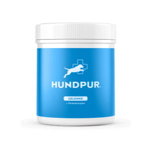Hundpur® Gelenke mit Grünlippmuschel