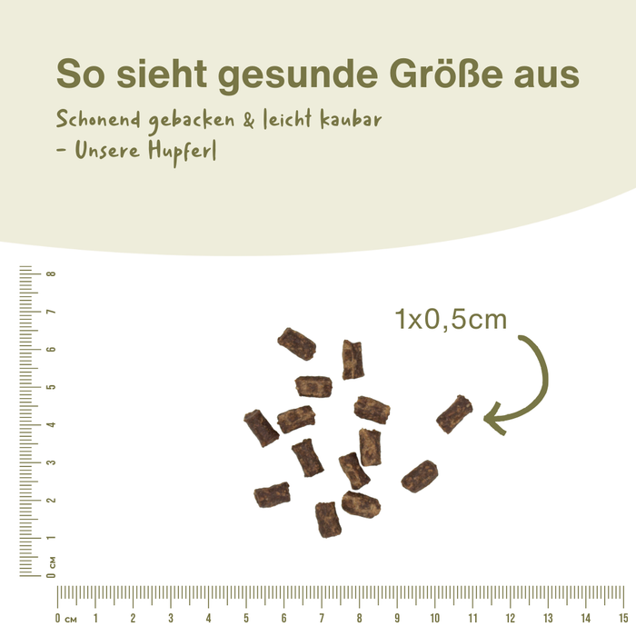 Pferde Snack