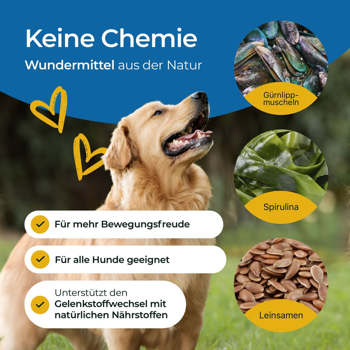 Hundpur® Gelenke mit Grünlippmuschel