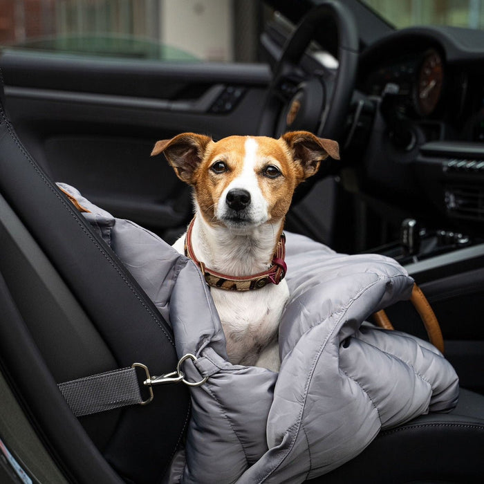 Hundetragetasche Baily