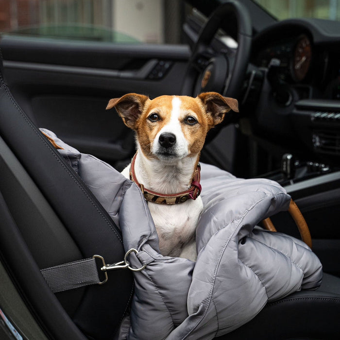 Hundetragetasche Baily
