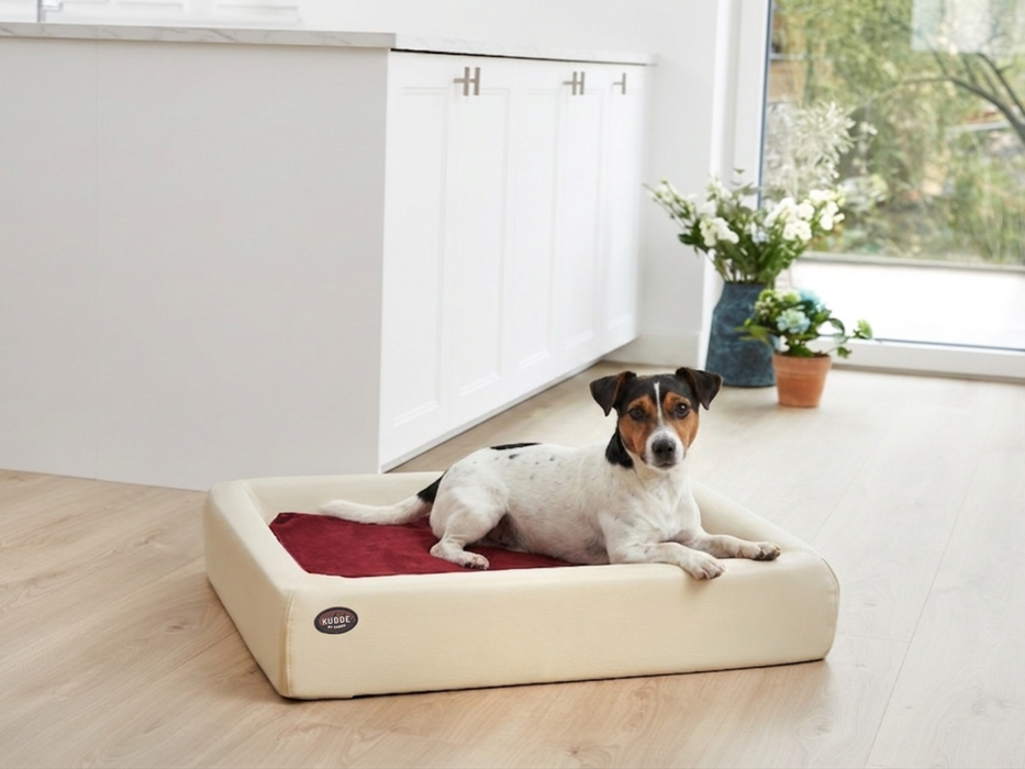 Orthopädisch-Plus Bundle | KUDDE Hundebett + Mumin Einlage Alltid