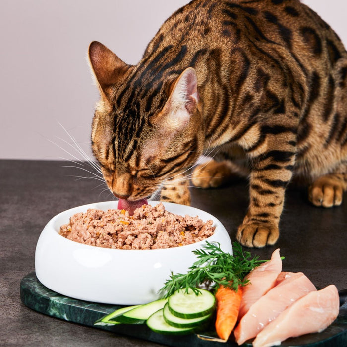 Katzenfutter Huhn Premium-Qualität