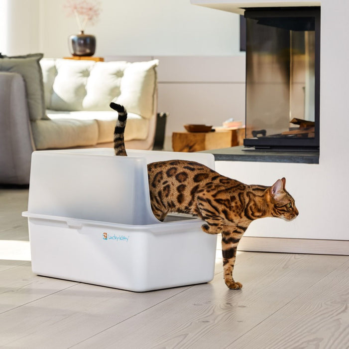 Katzentoilette XXL (Edelstahl Weiß) + Haube (Weiß transparent)