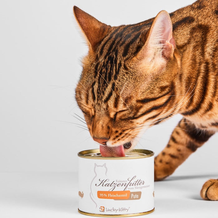 Katzenfutter Pute Premium-Qualität