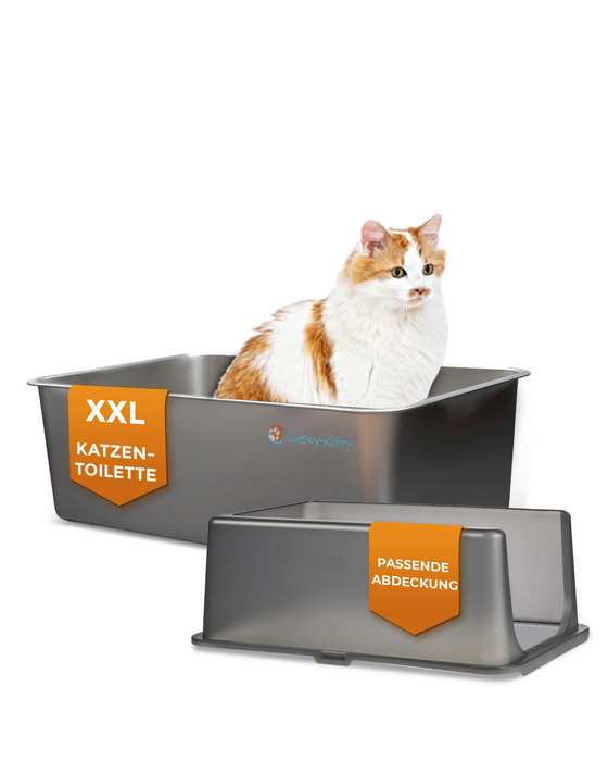 Katzentoilette XXL (Edelstahl Natur) + Haube (Schwarz transparent)