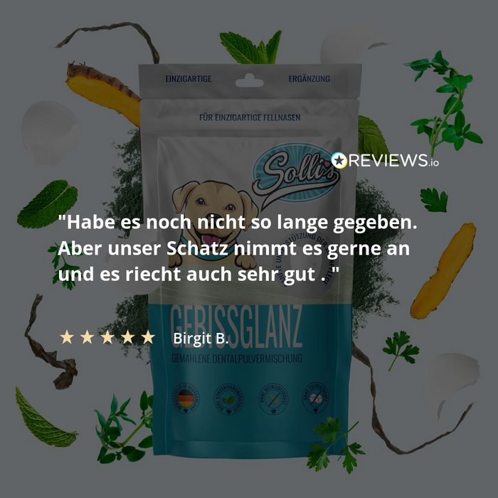 Dentalpulver Gebissglanz - Für Zahnpflege & frischen Atem