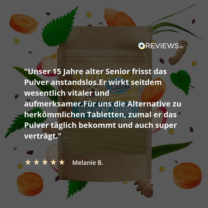 Seniorenpulver Goldene Jahre - Für Vitalität im Alter