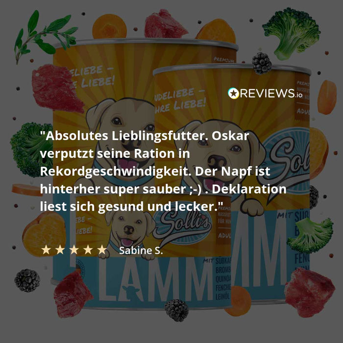 Nassfutter Lamm | Adult