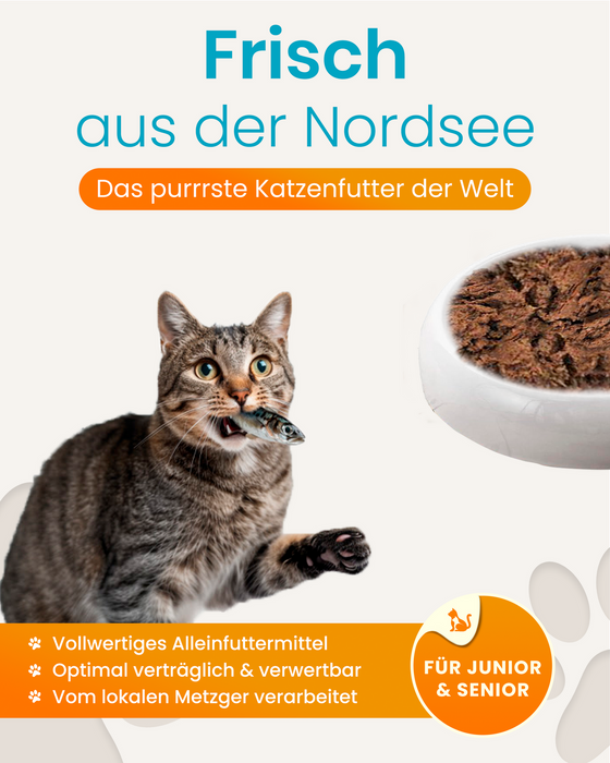 Katzenfutter Fisch Premium-Qualität