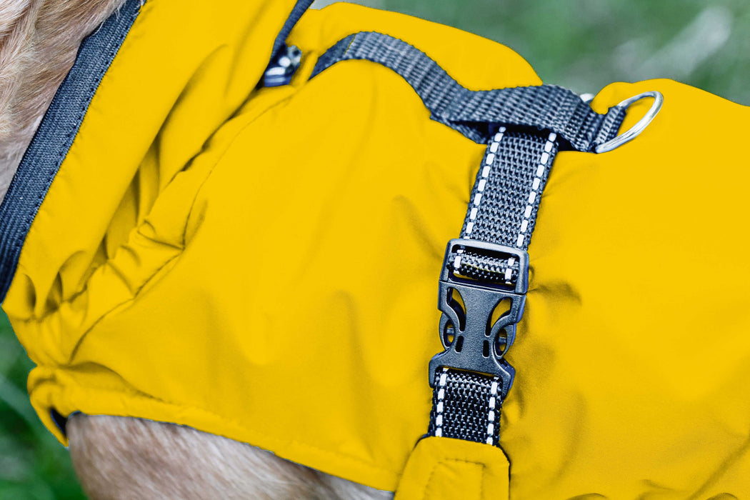 Hunderegenjacke mit Rückenöffnung "Sunshine Yellow"