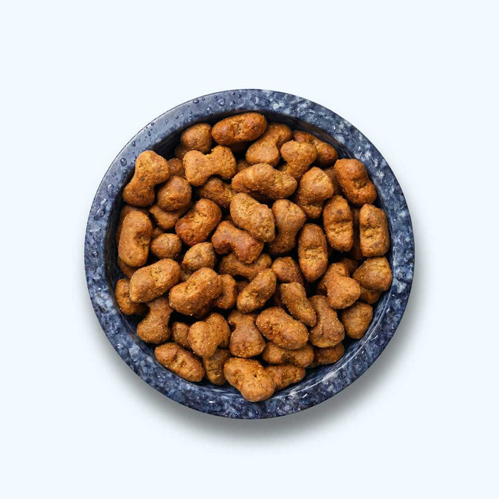 Funktionaler Snack Immunsystem - Fördert Immunabwehr