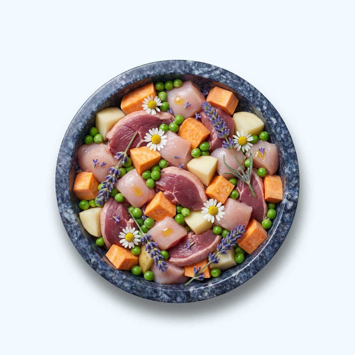 Funktionaler Snack Immunsystem - Fördert Immunabwehr