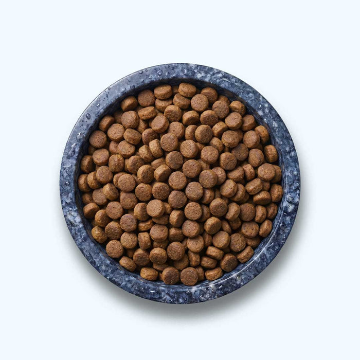 Trockenfutter Huhn | Welpenfutter-Regular