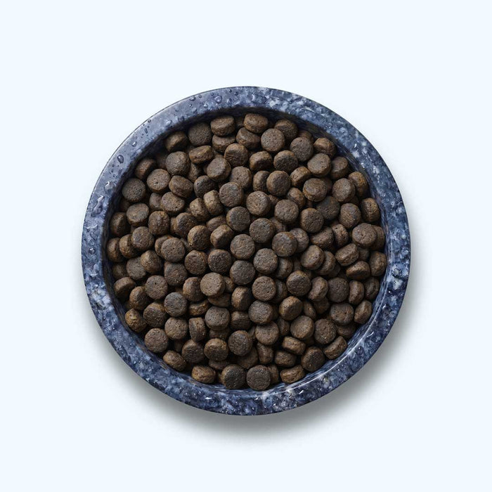 Trockenfutter Lachs | Welpenfutter-Regular