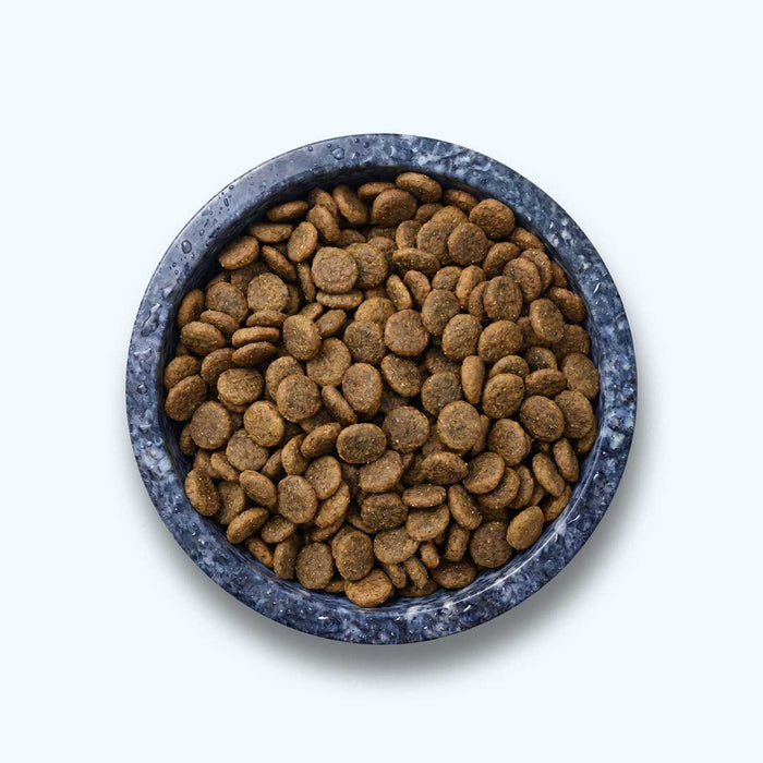 Trockenfutter Huhn | Adult-Regular