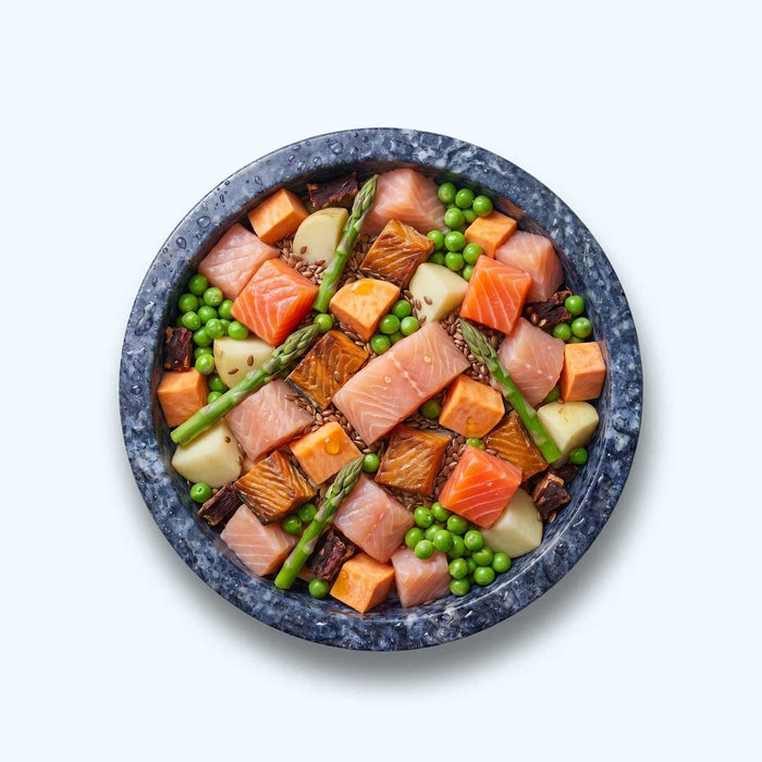 Trockenfutter Fisch | Adult-Regular