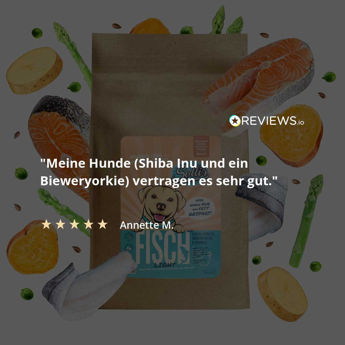Trockenfutter Fisch | Adult-Regular