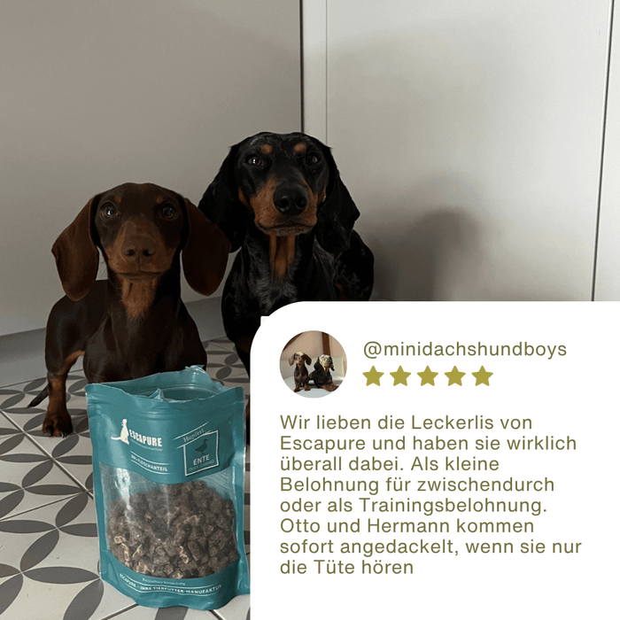 Enten Snack