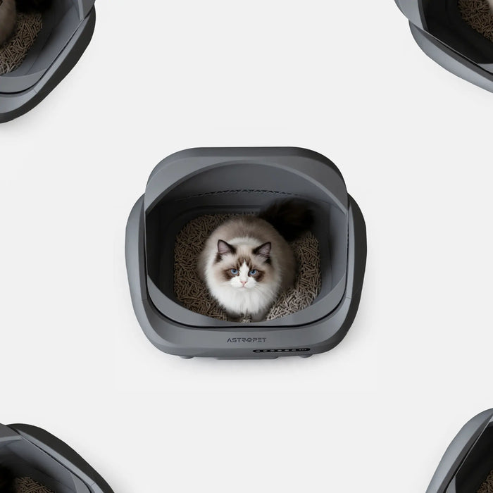 Venus - XXL Selbstreinigende Katzentoilette