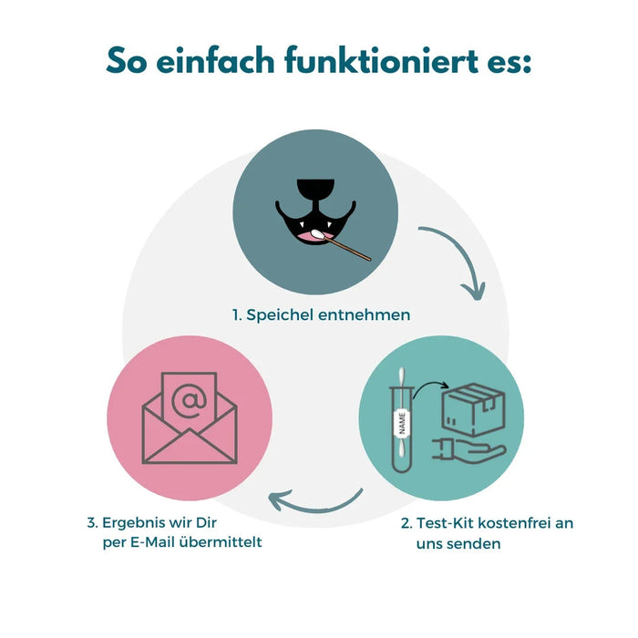 Allergietest voor puppy's