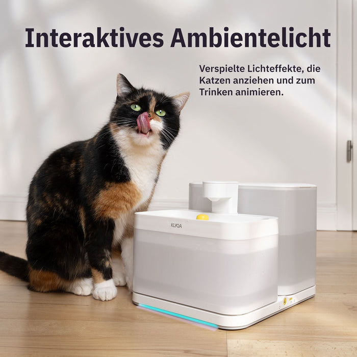 Welly – Smarter Katzen Trinkbrunnen