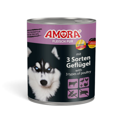 muunchy.de AMORA Dog Pur Nassfutter Dose mit Geflügel für Hunde, 800g mit Husky-Motiv auf lila Etikett