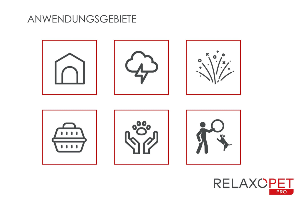 PRO | Entspannungs-Trainer HUND