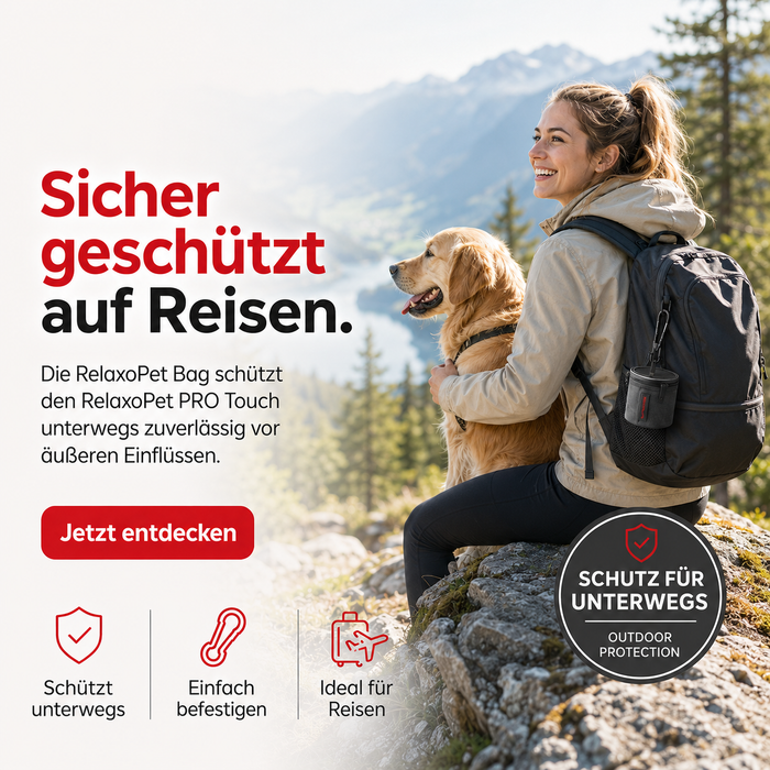 BAG | Transporttasche