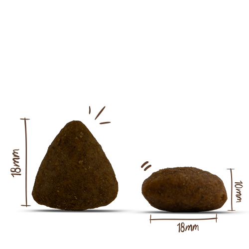 Bosch HPC Menue Adult Nordsee-Lachs Getreidefrei