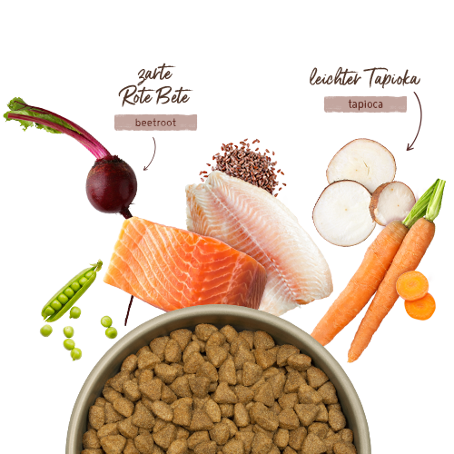 Bosch HPC Menue Adult Nordsee-Lachs Getreidefrei