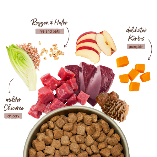 Bosch HPC Menue Adult Rind