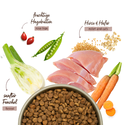 Bosch HPC Menue Junior Tierwohl-Pute