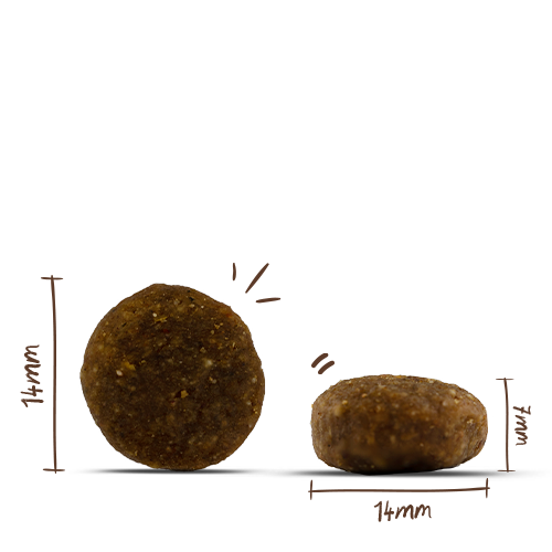 Bosch HPC Menue Junior Tierwohl-Pute