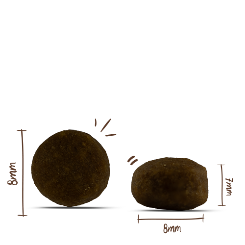 Bosch HPC Menue Mini Adult Tierwohl Huhn