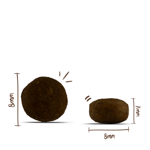 Bosch HPC Menue Mini Junior Tierwohl Huhn