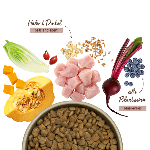 Bosch HPC Menue Senior Tierwohl-Huhn