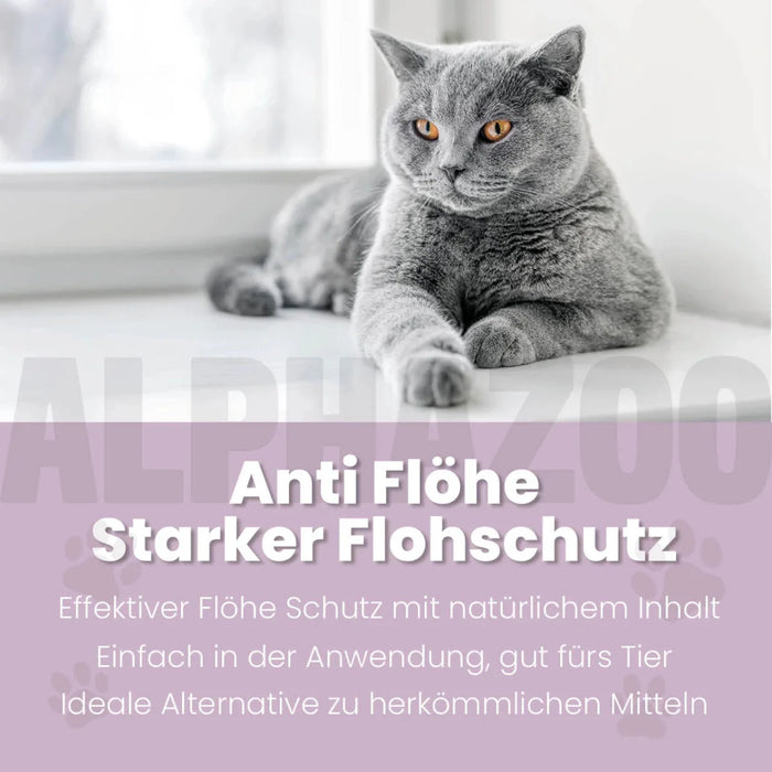 ByeByeVloh Spot-On für Katze