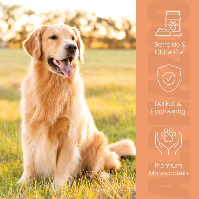 Wild + Rind Nassfutter für Adult Hunde
