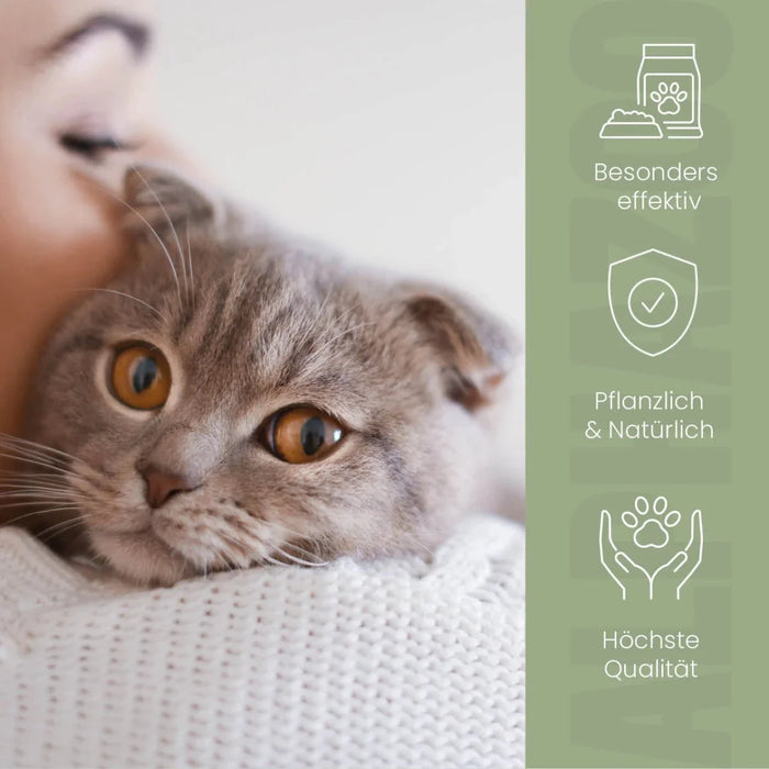 Darmonie Liquid für Katzen