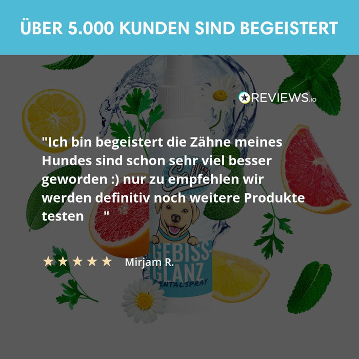 Dentalspray Gebissglanz - Für Zahnpflege & frischen Atem
