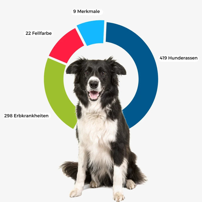 DNA-Erbkrankheiten Analyse Hund