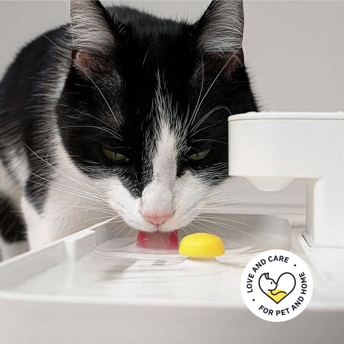 Welly – Smarter Katzen Trinkbrunnen