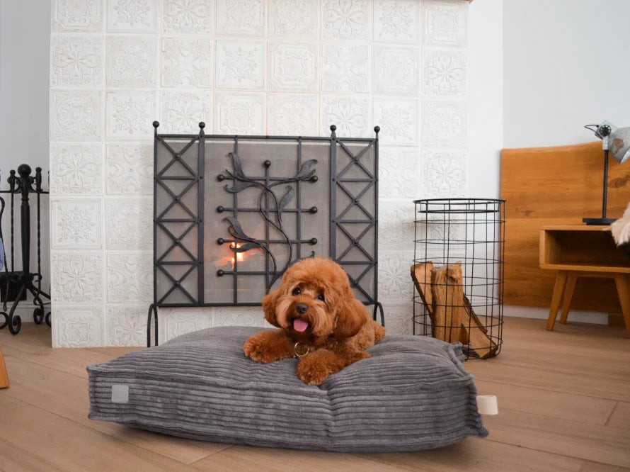 Orthopädische MEMORY FOAM Hundekissen aus Möbelcord / Premium Hundebett für mittlere und große Hunde / Hundematratze