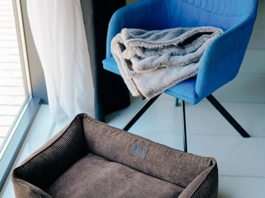 DREAMER orthopädisches Hundebett aus Möbelcord mit Handwerklich/ Höchste Funktionalität