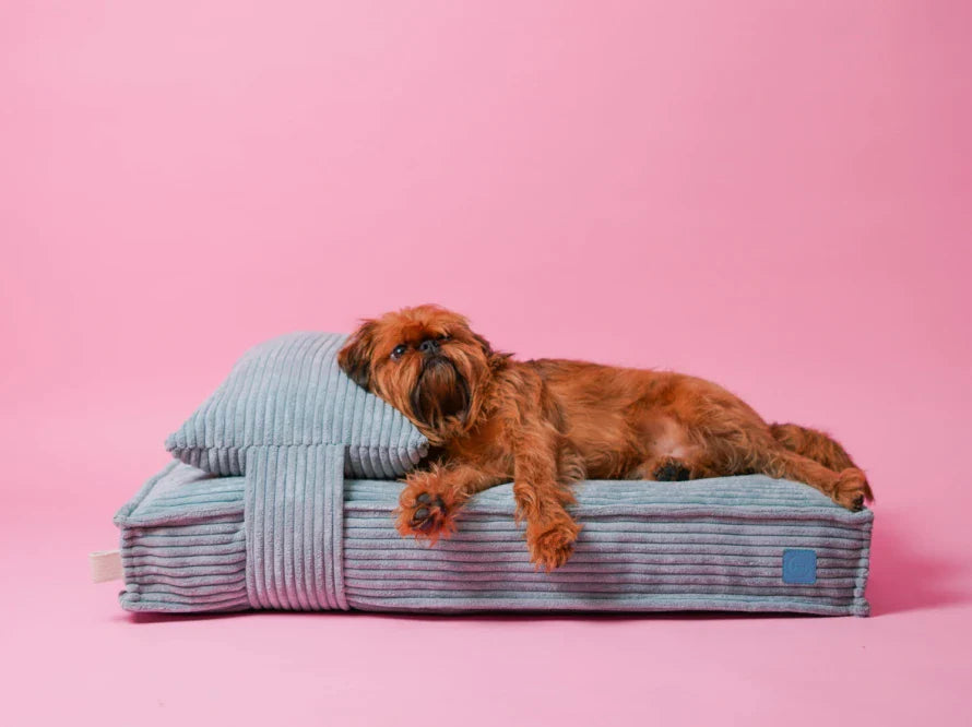 Orthopädische MEMORY FOAM Hundekissen aus Möbelcord / Premium Hundebett für mittlere und große Hunde / Hundematratze