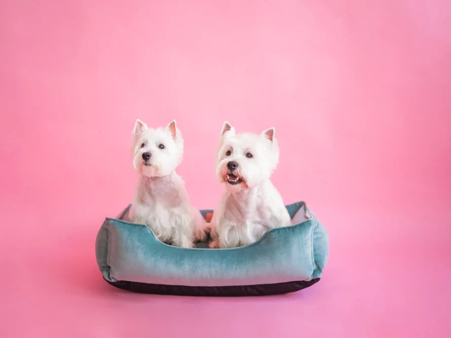 DREAMER orthopädisches Hundebett aus Möbelvelours / gegen Graben und Buddeln resistent