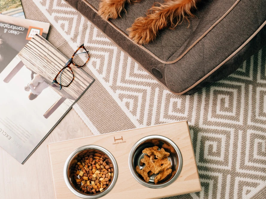 LUNCH BAR Hundenapf / Holz Napfständer mit zwei Edelstahlnäpfen für kleine Hunde / weißer Metallrahmen